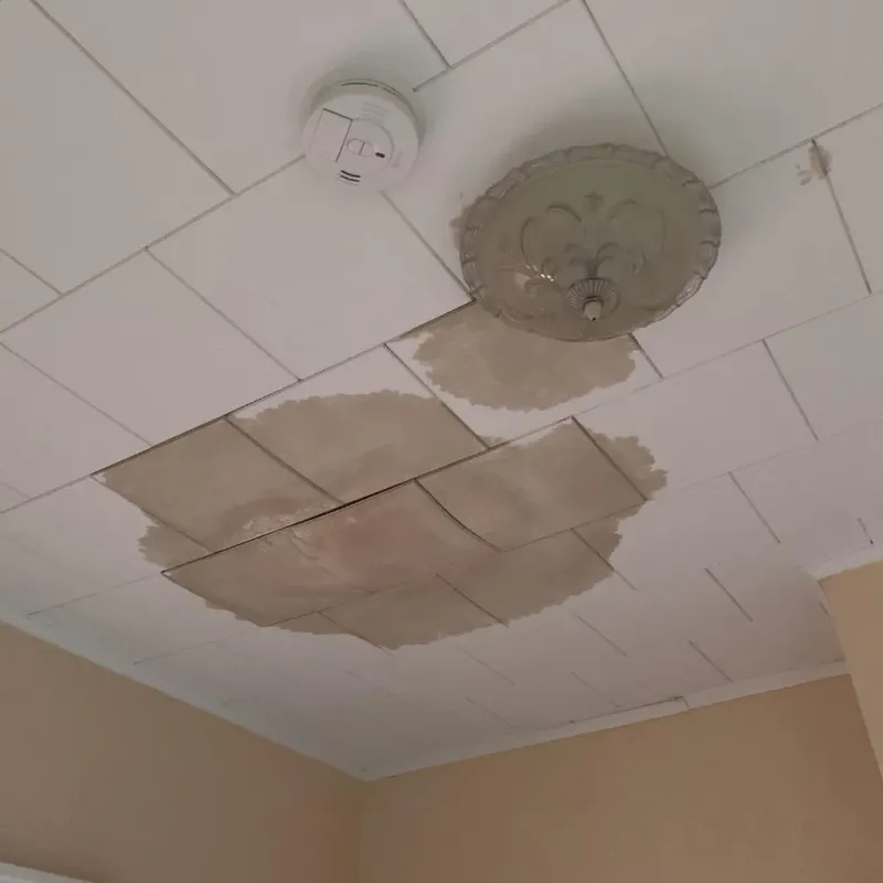 Ceiling Water Damage Repair in Dumas, TX