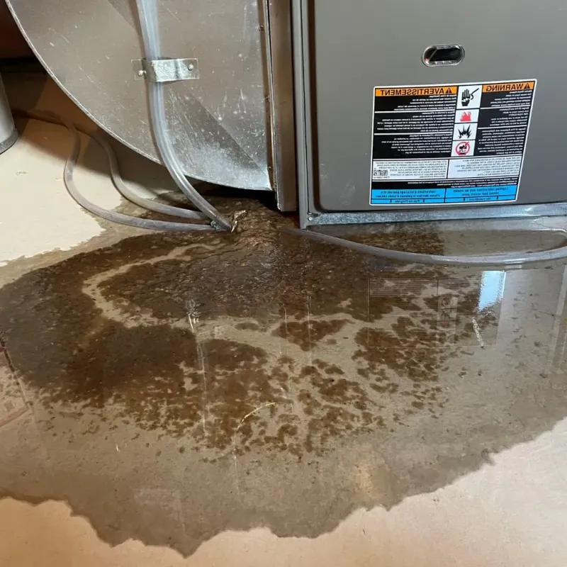 Pipe Burst and Leak Restoration in Dumas, TX
